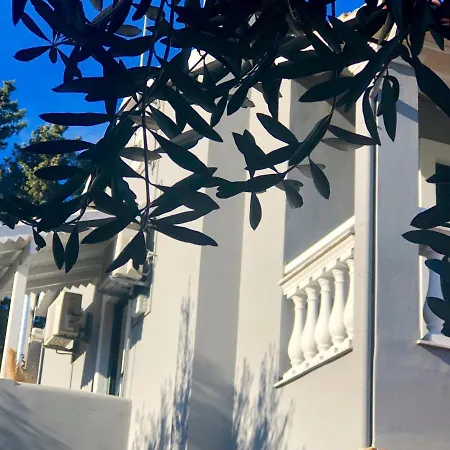 Sofia Emeral Studio - New For 2020 - Acharavi Center * אצ'ארבי